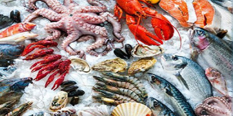  تسجيل ارتفاع في صادرات منتوجات الصيد البحري لسنة 2018 بـ 33% 